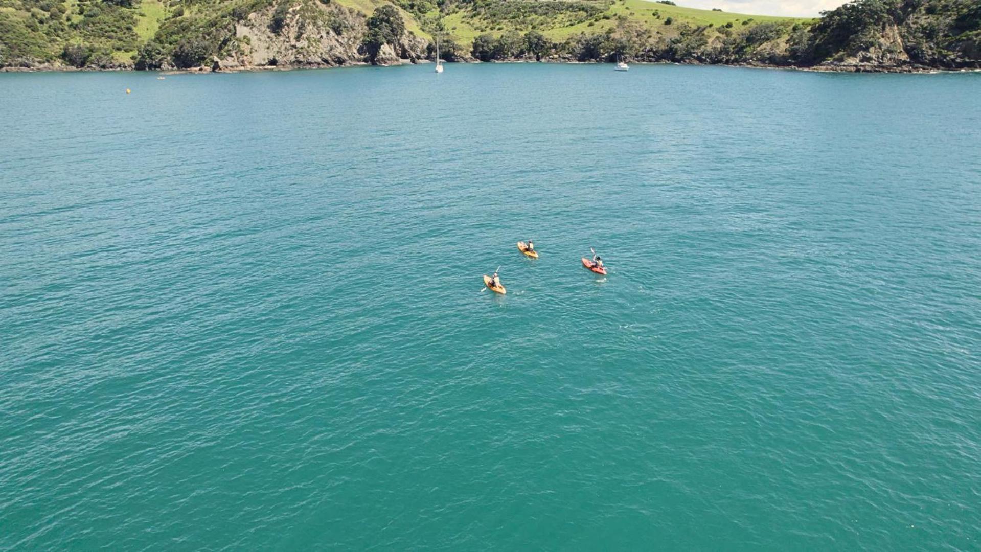 Waiheke Backpackers Hostel Onetangi Bagian luar foto