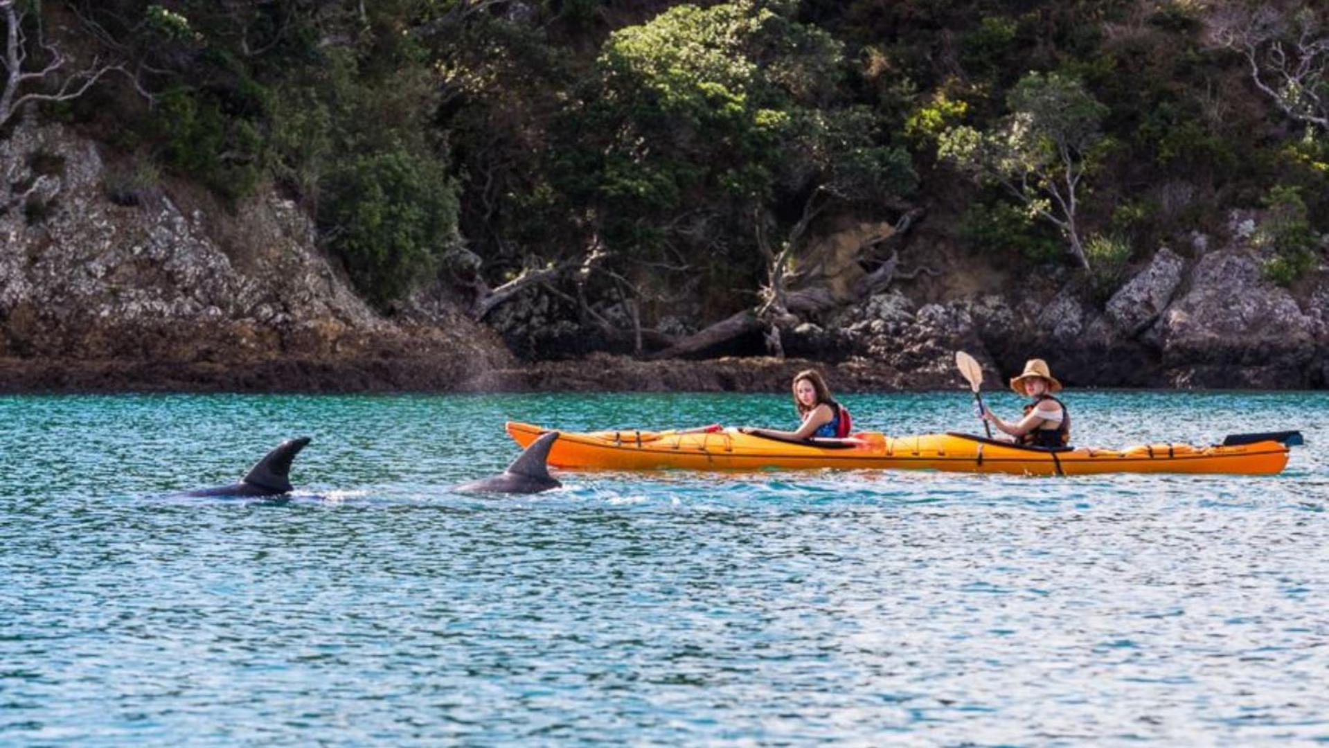 Waiheke Backpackers Hostel Onetangi Bagian luar foto